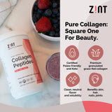 Zint Collagen Peptides Powder (32 oz): Paleo & Keto Certified - Granulated Collagen Hydrolysate Types I & III for Enhanced Absorption - Enzymatically Hydrolyzed Protein for Women & Men
