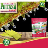 Muriate of Potash 0-0-60 Fertilizer Made in USA - MOP Potassium Plant Food for Indoor/Outdoor Plants & Flower Gardens – Promotes Big Blooms! Fruit, Vegetables, Holistic Herbs, Trees