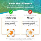 5Strands Food Intolerance Test, 414 Items Tested, Food Sensitivity at Home Test Kit, Accurate Hair Analysis, Holistic Health Results in 5 Days