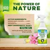 Eco Defense Bed Bug Killer - USDA Biobased Dust Mite Spray Natural Repellent Treatment - Child & Pet Friendly - 16 oz