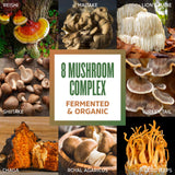 Zhou Nutrition 8-Plex Organic Mushroom Powder, Support Cognitive and Immune Health, Increase Energy, Endurance & Overall Wellness, Lions Mane, Reishi & Turkey Tail, 30 Servings - 2.14 Oz