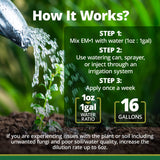 TeraGanix EM-1 Plant Growth, Microbial Inoculant Concentrate (1 Btl = 16 Gal), Soil Conditioner, Root Enhancer, Liquid Probiotic for Soils & Plants, Seed Germination, Garden, Lawn Care (16 fl oz)