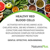 NaturesPlus Hema-Plex Iron - 30 Sustained Release Tablets, Pack of 3-85 mg Elemental Iron - Total Blood Health - with Vitamin C & Bioflavonoids - Vegan, Gluten Free - 90 Total Servings