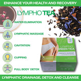 Lymphatic Green Tea, Lymphatic Drainage Cleanse & Detox, Natural Herbal Blend for Lymphatic System Health, Post Surgery Recovery Liposuction, BBL, Tummy Tuck, Lipedema & Lymphedema, 30-Pack