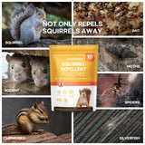 ProElobara Squirrel Repellent Chipmunk Deterrent: Squirrel Deterrent Repellent - Chipmunk Rodent Repellent - Squirrel Repellent Indoor 10 Pack