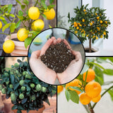 Citrus Tree Potting Soil Mix (12 Quarts), Special Blend for Indoor Oranges, Lemons, Limes and More