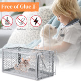 Qualirey 8 Pcs Rat Trap Humane Rat Trap No Installation Required Live Trap Chipmunk Trap Rodent Trap Mice Cage Mouse Traps for Indoor Outdoor Small Rodent Animal Hamsters Squirrel Mouse Voles Cage