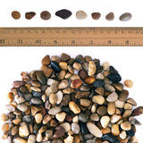 Galashield Pebbles for Plants, River Rocks, Decorative Stones for Vases, Garden Rocks Outdoor Landscaping, Polished Aquarium Gravel (5 lb Bag), 1-2 cm