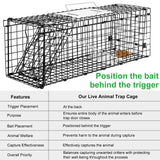 VASALAID Live Animal Trap Cage, 24 X 7 X 8 Inch Catch and Release, Humane Live Trap Cage Indoor & Outdoor Foldable cat Trap for Stray Cats, Rabbits, Squirrels, Groundhogs, Woodchucks