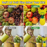 Fruit Fly Trap with Sticker, Effective Fly Catcher Gnat Traps for House Indoor, Fruit Fly Killer Comes with Attractant and Double-Sided Sticker, Non-Toxic Reusable Fly Trap for Home, Kitchen - 4 Pack