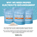 Paleovalley Essential Electrolytes Powder - Full Spectrum Orange Electrolyte Powder for Hydration, Energy and Muscle Recovery - No Sugar Added - 28 Servings