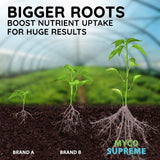 Mycorrhizal Fungi Root Enhancer for Plants - Bigger, Stronger, Healthier Roots, Use In Soil and Hydroponics - Super 20X Concentrated Mycorrhizae Inoculant Strain - Trifecta Myco Supreme (375 Grams / 13 OZ)