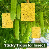 150 Pcs Double Sided Sticky Traps for Flying Plant Insect Like White Flies Aphids 6 x 8 Inch Sticky Gnat Traps Killer Fruit Fly Traps for Indoor Outdoor Including Twist Ties, Yellow