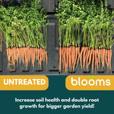 Blooms BioBoost | Liquid Soil Treatment for Plants and Gardens | All-Purpose Concentrated Liquid Fertilizer Enhancer | Organic Soil Treatment for Sustainable Root and Plant Growth | 2oz