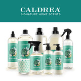 Caldrea Hand Soap Refill, Aloe Vera Gel, Olive Oil And Essential Oils To Cleanse And Condition, Pear Blossom Agave Scent, 32 Oz