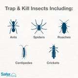 Safer Brand 12 Safer Home SH400SR Indoor Spider, Ant, Cockroach, Centipede, and Crawling Insect Traps, Blue
