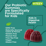 Probiotics Plus Prebiotics Fiber Gummies, Extra Strength 2 Billion CFUs - Immune Support & Digestive Support, Dualbiotic Vegan & Pectin Chewable Gummy, Teens Children & Kids, Berry Flavor [120 Count]