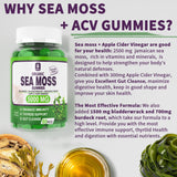 Sea Moss Supplement 5000mg, Sugar Free Sea Moss Gummies, Irish Sea Moss, Burdock Root, Bladderwrack, Apple Cider Vinegar, Organic Sea Moss, Immune System, Det0x Cleanse, Thyr0id Support, Vegan 60 Cts