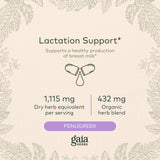 Gaia Herbs Lactation Support - Supports Healthy Milk in Nursing Mothers* - Fenugreek and Fennel Seed - 60 Vegan Liquid Phyto-Capsules (20-Day Supply)