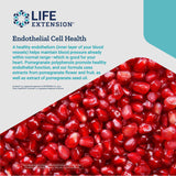 Life Extension Endothelial Defense Pomegranate Plus – Pomegranate Seed, Flower And Fruit Extract Formula Supplement for Heart and Endothelial Health – Gluten-Free, Non-GMO – 60 Softgels