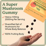 Plant People WonderDay Mushroom Gummies - Lion’s Mane, Cordyceps, Chaga Mushroom Supplement to Support Immune System De-Stress Boost Mood & Energy in Adults Natural, Vegan, Non-GMO (60 Count)