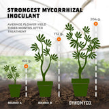 DYNOMYCO Premium Mycorrhizal Inoculant - Root Enhancer/Stimulator - Mycorrhizae for Plants - Concentrated Mycorrhizal Inoculant - Supreme myco strains - Treats up to 68 Plants! (340 g / 12 Oz)