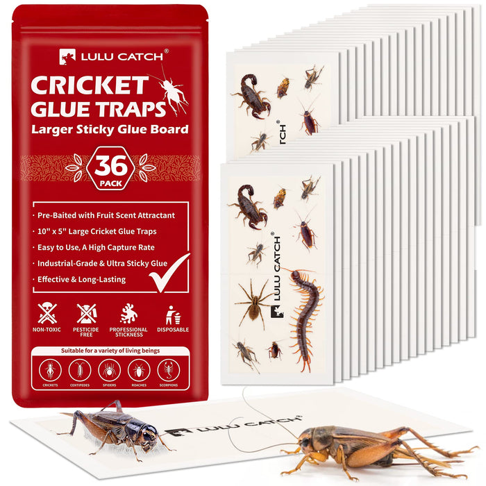 LULUCATCH Cricket Insect Glue Traps - 36 Pack Bug Sticky Traps, Large & Adhesive Spider Scorpion Trap with Pre-Baited Attractant, Highly Effective Glue Boards Indoor, Non-Toxic, Safe to Children, Pets