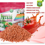 Muriate of Potash 0-0-60 Fertilizer Made in USA - MOP Potassium Plant Food for Indoor/Outdoor Plants & Flower Gardens – Promotes Big Blooms! Fruit, Vegetables, Holistic Herbs, Trees