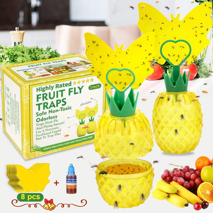 Fruit Fly Trap with Sticker, 2024 New Upgrade Effective Fly Catcher Gnat Traps for Indoor with Yellow Sticker, Non-Toxic Reusable Gnat Killer Fruit Fly Catcher with Bait for Kitchen/Plant -2 Pack