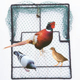 DSQSTMR Pigeon Bird Trap Trapping Hunting Quail Cage Sparrow Spring Starling Catching Net Traps for Trapping