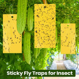 Qualirey 100 Pcs Double Sided Sticky Traps for Flying Plant Insect Like White Flies Aphids 7.87 x 3.9 Inch Sticky Gnat Traps Killer Fruit Fly Traps for Indoor Outdoor Including Twist Ties (Yellow)