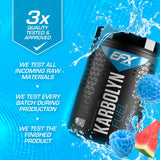 EFX Sports Karbolyn Fuel | Fast-Absorbing Carbohydrate Powder | Carb Load, Sustained Energy, Quick Recovery | Stimulant Free | 18 Servings (Blue Razz Watermelon)