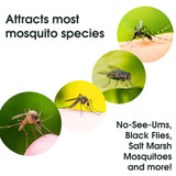 Mosquito Magnet Octenol Biting Insect Attractant - Attract Mosquitoes to Trap and Increase Catch Rates - 3 Lures