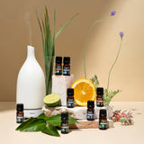 Cliganic Organic Cedarwood Essential Oil - 100% Pure Natural for Aromatherapy Diffuser | Non-GMO Verified