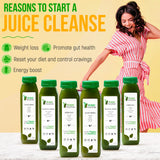 Raw Fountain 5 Day Green Juice Cleanse, All Natural Raw, Vegan Detox, Weight Management Program, Cold Pressed Juices, 30 Bottles 12oz, 5 Ginger Shots