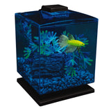 GloFish Betta Aquarium Kit 1.5 Gallons, Easy Setup and Maintenance, Perfect Starter Tank,Black/Clear