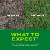 Scotts Turf Builder Rapid Grass Bermudagrass, Combination Seed and Fertilizer, Grows Green Grass Fast, 8 lbs.