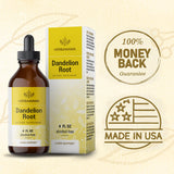 HERBAMAMA Dandelion Root Tincture - Organic Dandelion Liquid Drops - Dandelion Root Liquid Extract Supplements - 4 fl oz