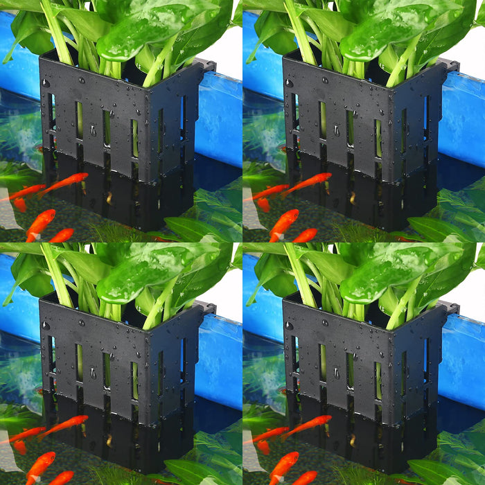 Upgraded Aquarium Plant Holder with Hooks and Suction Cups for Fish Tank Aquaponic Plant Cultivation and Aquascape Decorations (Black)