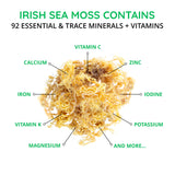 Happy Healthy Hippie Sea Moss Capsules (Potent Gel Capsules) 3,000 mg | Immune & Energy Boost | Irish Sea Moss Gel Capsules for Digestive & Thyroid Support, 60 Count