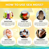 Irish Sea Moss Gel Organic Raw - Wildcrafted Superfood Seamoss Gel - Pineapple Flavor, Vitamin and Mineral-Rich from Pristine Caribbean Waters, Immune and Digestive Health Support - 10 oz.