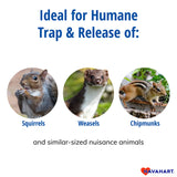 Havahart 1026 Small 1-Door Humane Live Catch and Release Animal Trap for Squirrels, Weasels, Chipmunks, and Small Animals