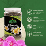 Nelson Plumeria Plant and All Flowering Tropicals Food Ferns Orchids Lilys In Ground Container Patio Grown Granular Fertilizer NutriStar 5-30-5 (2 lb)