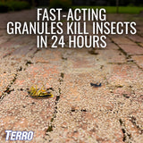 TERRO T901SR Ant Killer Plus Multi-Purpose Insect Control for Outdoors - Kills Fire Ants, Fleas, Cockroaches, and Other Crawling Insects - 2 Pack, Granule