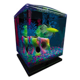 GloFish Betta Aquarium Kit 1.5 Gallons, Easy Setup and Maintenance, Perfect Starter Tank,Black/Clear