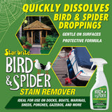 STAR BRITE Spider & Bird Stain Remover Spray - Quickly Dissolve Bird Droppings & Clean up Spider Mess - Won't Remove Polish or Wax (095122P)