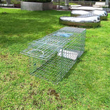 Large Collapsible Humane Live Animal Cage Trap No-Kill Trapping Kit for Humane Catch Release Rabbits, Stray Cat, Squirrel, Raccoon, All Fit Sized Animals, Heavy Duty, 2-Door 31"x11.5"x12.5"