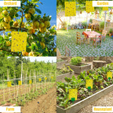 30 Pack Yellow Sticky Traps Fruit Fly Trap, Double-Sided Fungus Gnat Trap Insects Pest Killer for Outdoor Indoor