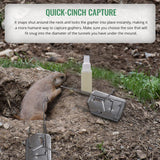 Cinch Gopher Deluxe Trap - Professional-Grade Gopher Traps That Work Best, Heavy Duty, Reusable Rodent Trapping System - Ideal for Lawns, Gardens, Ranches, and More - Outdoor Use, Small (3 Pack)