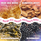 Biolore Sea Moss Gummies with Elderberry, Contains Irish Sea Moss, Organic Extract, Burdock Root, Bladderwrack, 60 pcs Seamoss Gel Gummies for Thyroid, Immune Support